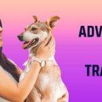 Advanced Obedience Training