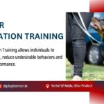 Behavior Modification Training