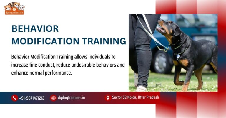Behavior Modification Training
