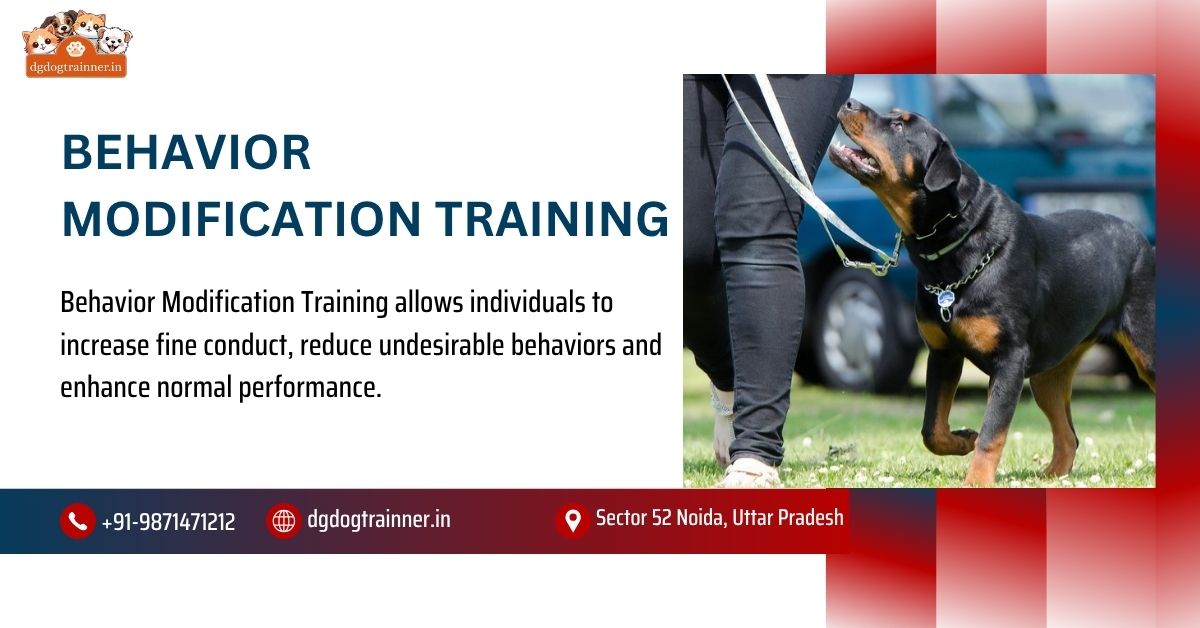 Behavior Modification Training
