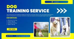 Dog Training Services