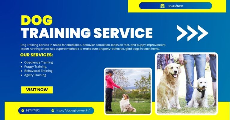 Dog Training Services