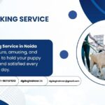 Dog Walking Service in Noida