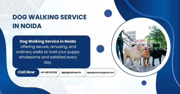 Dog Walking Service in Noida