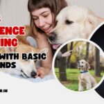 Basic Obedience Training in Noida