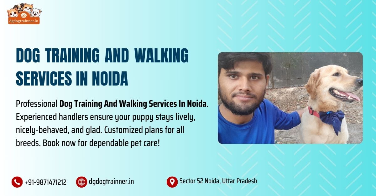 Dog Training And Walking Services In Noida