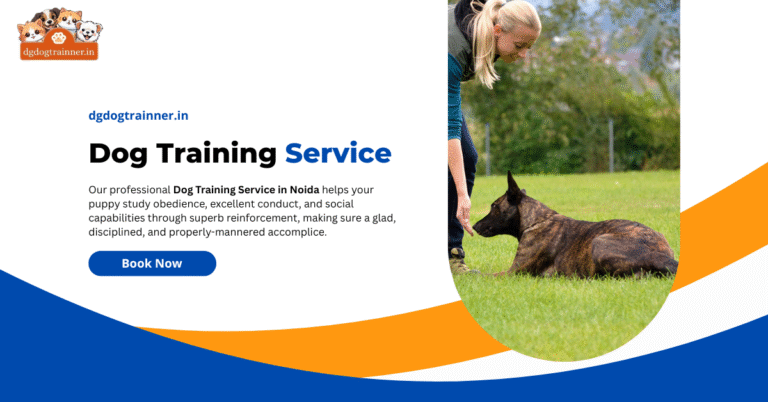 Dog Training Service