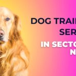 Dog Training Service In Sector 34 Noida