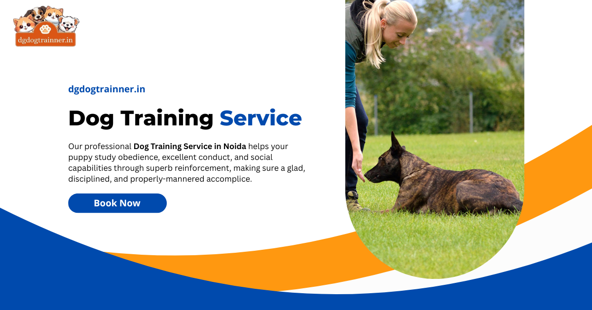 Dog Training Service