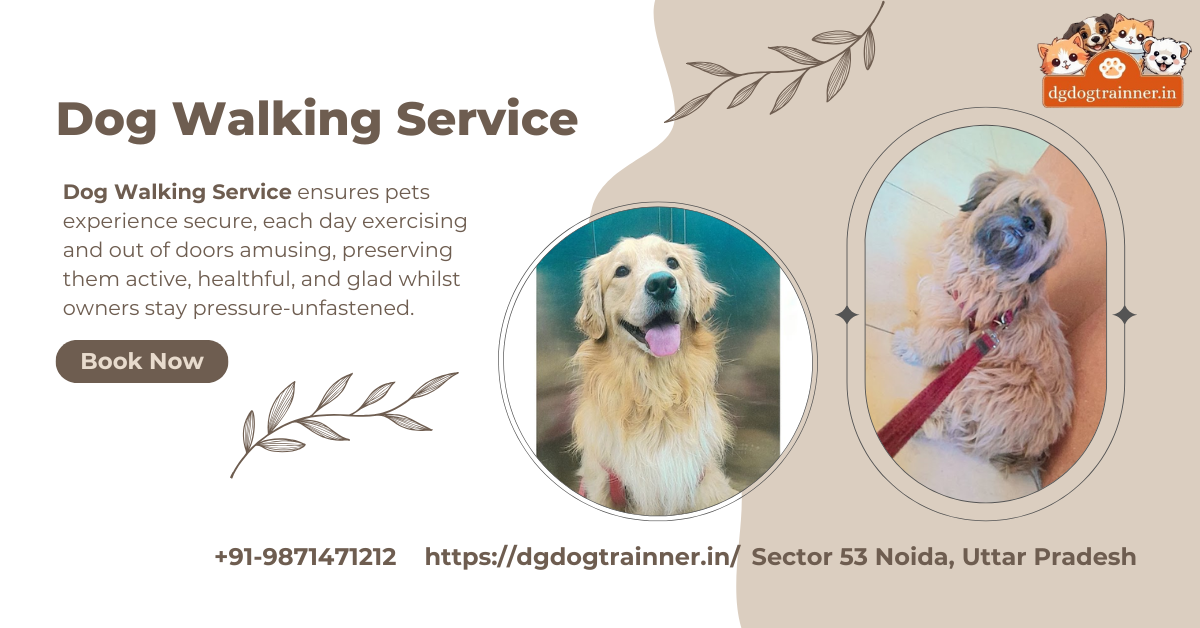 Dog Walking Service