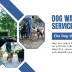Dog Walking Service
