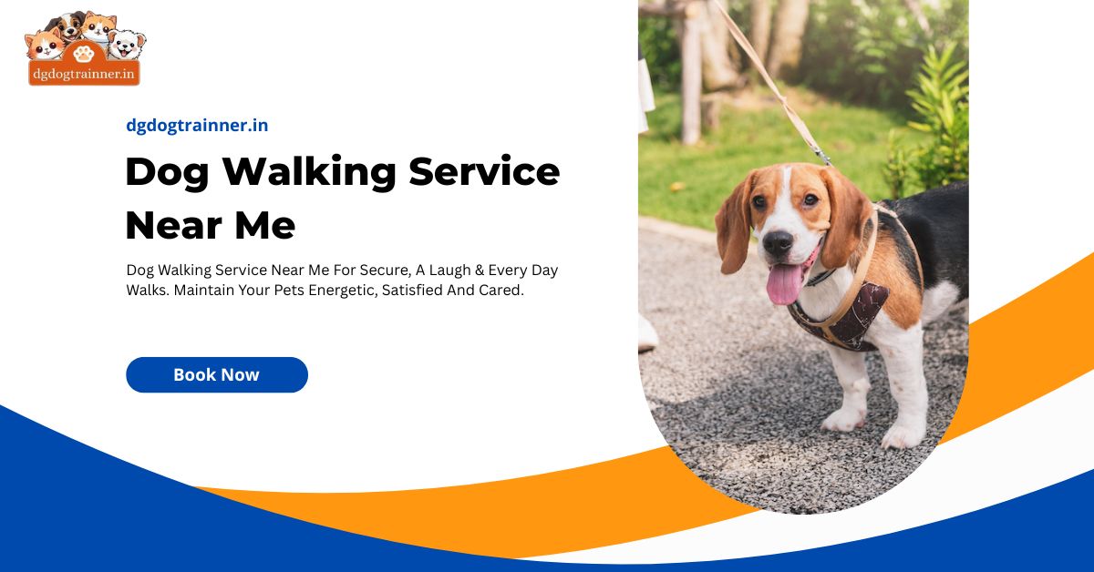 Dog Walking Service Near Me