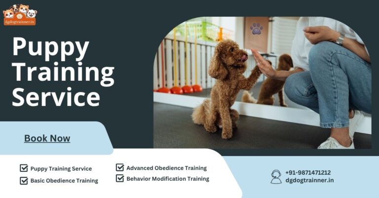 Puppy Training Service