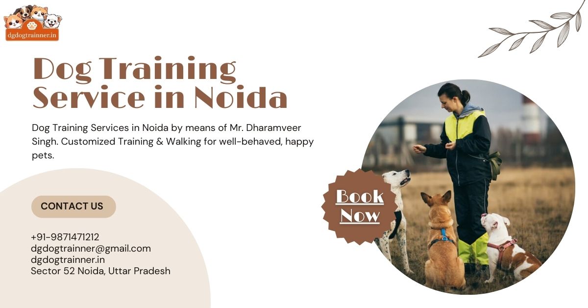 Dog Training Service in Noida