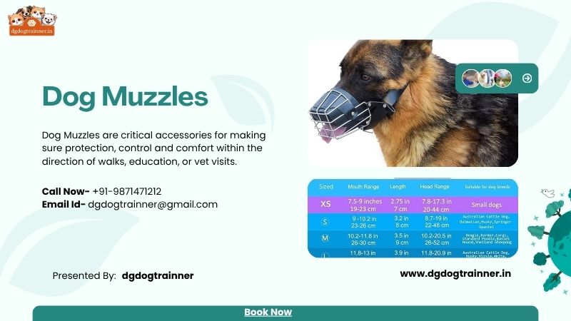 Dog Muzzles