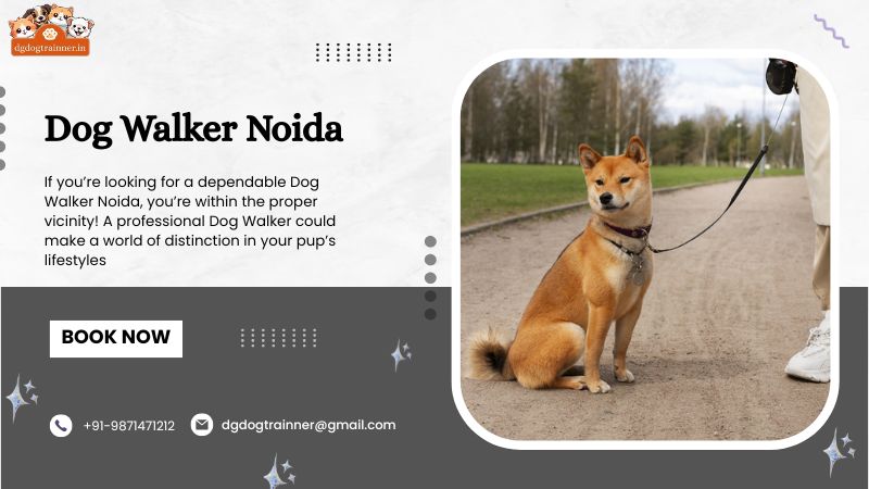 Dog Walker Noida
