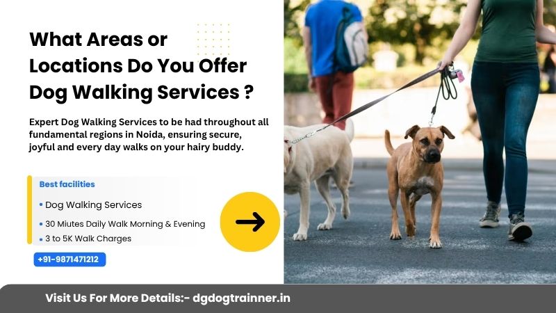 Dog Walker Noida