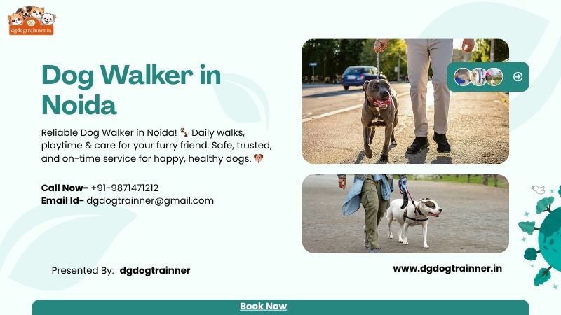Dog Walker in Noida