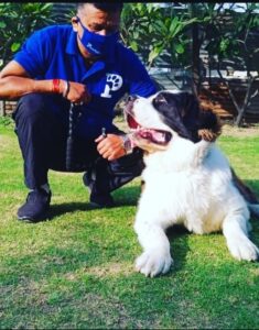 Mr Dharamveer Singh Dog Trainer