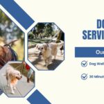 Dog Walking Service in Noida